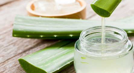 Tout savoir sur l'aloe vera