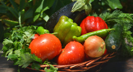 Zoom sur les fruits et légumes d'été