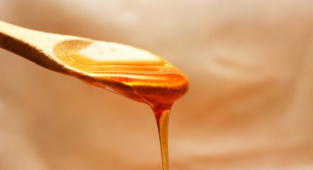 Miel de Manuka : un ingrédient d'exception à retrouver chez Léopold