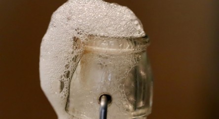 Boissons fermentées bio : une alternative santé et sans alcool