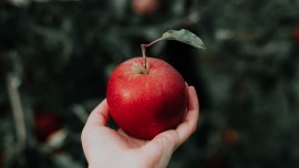 La Pomme Juliet