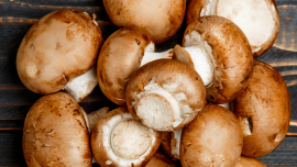 Le champignon blond de Paris