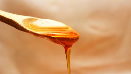 Miel de Manuka : un ingrédient d'exception à retrouver chez Léopold