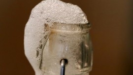 Boissons fermentées bio : une alternative santé et sans alcool