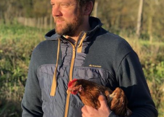 Les oeufs de Cassel