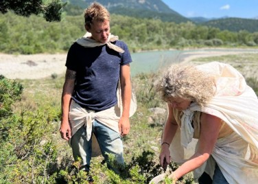 Herbes et traditions