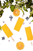 Bâtonnets sorbet clémentine 4x70g