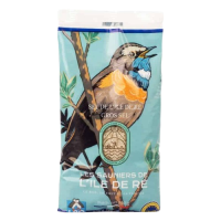 Gros sel en sachet 750 G