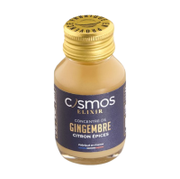 Shot elixir concentré gingembre citron épices