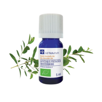 He Lentisque pistachier 5ml