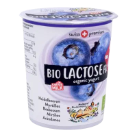 Yaourt myrtille sans lactose 200g