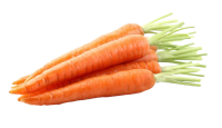 lot de 5 carottes bio environ 500gr