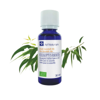 He Eucalyptus radiata 30ml