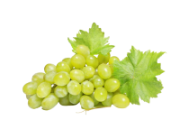 Raisin blanc sans pépin (environ 300gr)