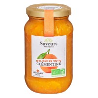 Preparation Aux Fruits 100% Clementine 310G