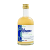 Ginger Zéro sucre 500ml