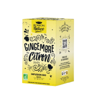 Infusion gingembre citron x16