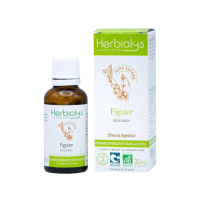 Figuier gemmo sans alcool 30ml