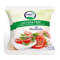 Mozzarella sans lactose 100gr