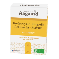 Aagard api energy x10