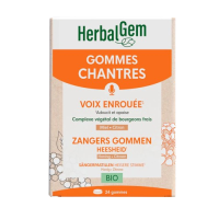 Gommes chantres x24