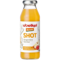 Shot gingembre 280ml