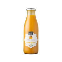 Nectar de mangue