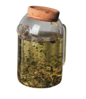 Grande théière transparente 1L
