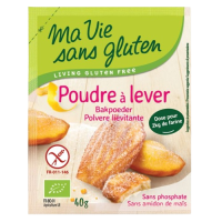 Poudre à lever 40g