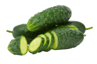 Concombre Noa pièce