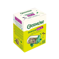 Kit démarrage germoir bocal