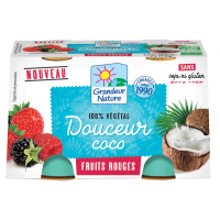 Dessert végétal Coco et fruits rouges 2 x 115gr