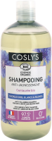 Shampoing cheveux blancs 500ml
