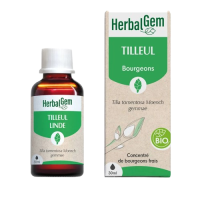Bourgeon de tilleul 30ml