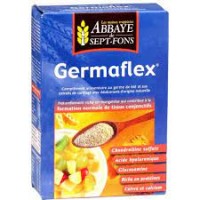 Germaflex Complément alimentaire 200g
