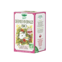 Tisane Défenses hivernales x20