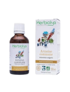 Phyto armoise commune 50ml