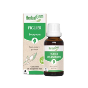 Bourgeon de figuier 30ml