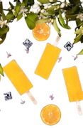 Bâtonnets sorbet clémentine 4x70g