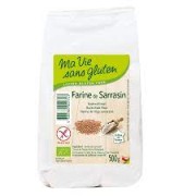 Farine d'avoine bio sans gluten Vrac (500g) - Max de Génie