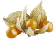 Physalis (environ 200gr)