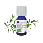 He Lentisque pistachier 5ml