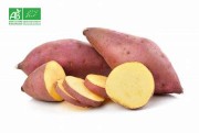 Patate douce bio 1kg