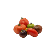 Lot de 5 tomates anciennes