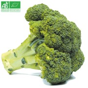 Chou Brocoli bio (env 500gr)