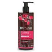 Shampooing Brillance Extrait de Framboise bio 500ml