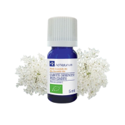 He Carotte semence sauvage 5ml