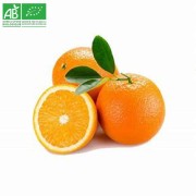 lot de 5 Orange bio (environ 1.5kg)