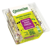Graines à germées Alafafa radis fenouil