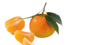 Clémentine Corse bio 200 gr